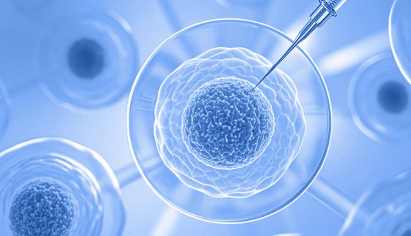 ��ҳ|Z6�����й��ٷ���վ