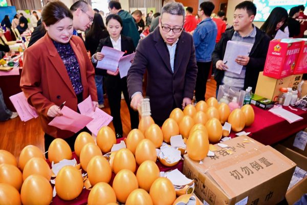 ��ҳ|Z6�����й��ٷ���վ