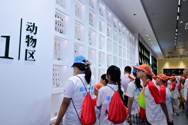 首页|Z6尊龙中国官方网站